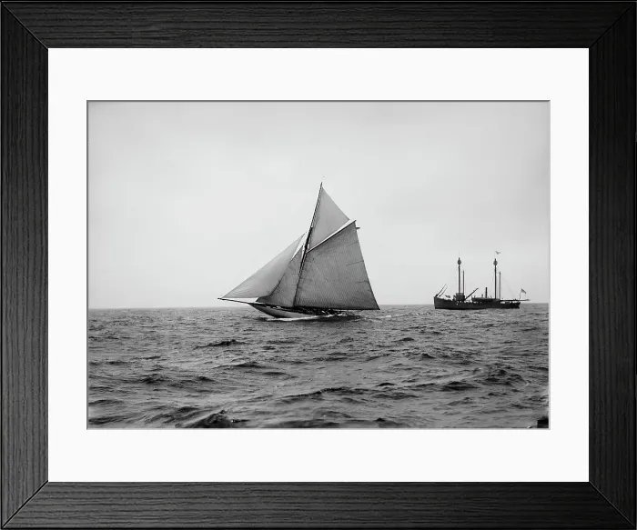 Framed Print : Wasp, 1894 Sept 18. Creator: Johns Johnston Framed Print : Wasp, 1894 Sept 18. Creator: Johns Johnston