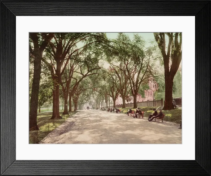 Framed Print : Beacon Street Mall, Boston, c1899. Creator: Unknown Framed Print : Beacon Street Mall, Boston, c1899. Creator: Unknown