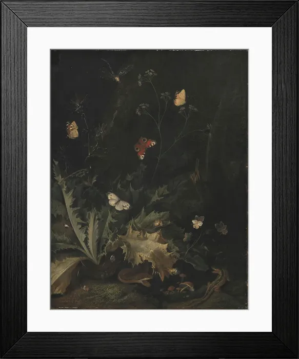 Framed Print : A Forest Floor with a Thistle, a Snake, a Lizard and Butterflies;Still Life, 1635-1678. Creator: Otto Marseus van Schrieck Framed Print : A Forest Floor with a Thistle, a Snake, a Lizard and Butterflies;Still Life, 1635-1678. Creator: Otto Marseus van Schrieck