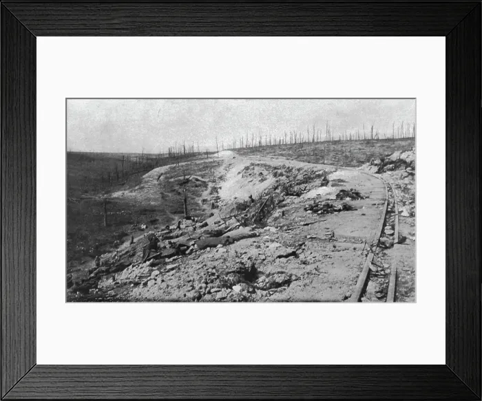 Framed Print : Le Fort de Vaux; Le ravin de la mort de Douaumont. Entre les forts de Douaumont et... 1916. Creator: Unknown. Le Fort de Vaux; Le ravin de la mort de Douaumont. Entre les forts de Douaumont et... 1916. Creator: Unknown Framed Print : Le Fort de Vaux; Le ravin de la mort de Douaumont. Entre les forts de Douaumont et... 1916. Creator: Unknown. Le Fort de Vaux; Le ravin de la mort de Douaumont. Entre les forts de Douaumont et... 1916. Creator: Unknown
