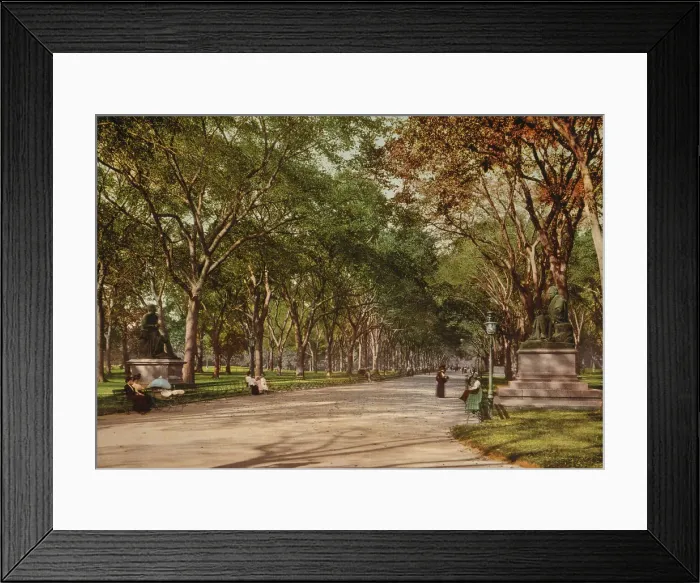 Framed Print : Lower end of mall, Central Park, New York, c1901. Creator: Unknown Framed Print : Lower end of mall, Central Park, New York, c1901. Creator: Unknown