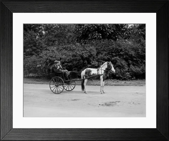 Framed Print : Pony cart, Belle Isle Park, Detroit, Mich. between 1900 and 1908. Creator: Unknown Framed Print : Pony cart, Belle Isle Park, Detroit, Mich. between 1900 and 1908. Creator: Unknown