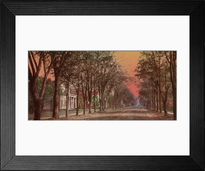 Framed Print : Elizabeth Street, Dansville, N.Y. ca 1900. Creator: Unknown Framed Print : Elizabeth Street, Dansville, N.Y. ca 1900. Creator: Unknown