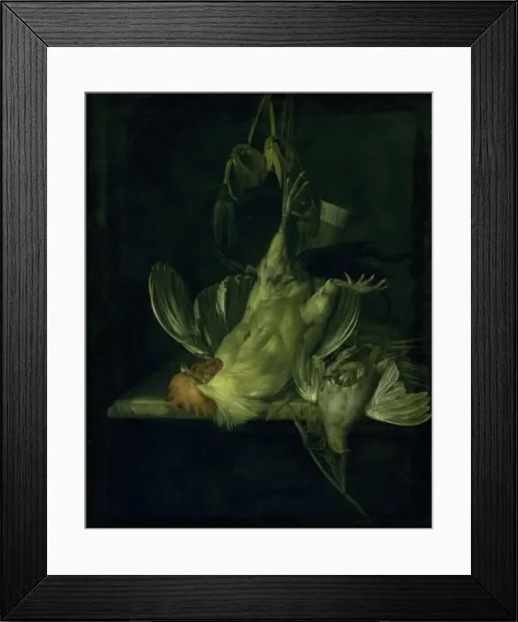 Framed Print : A Dead White Cock, 1642-1683. Creator: Willem van Aelst Framed Print : A Dead White Cock, 1642-1683. Creator: Willem van Aelst