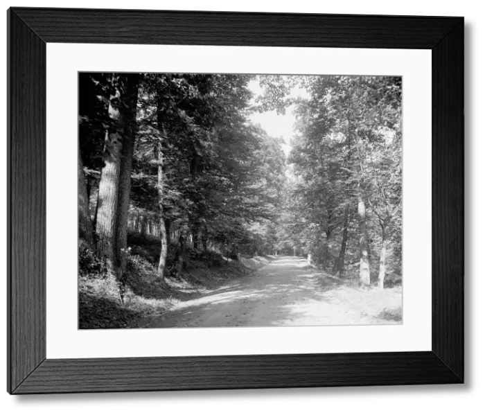 Framed Print : Sleepy Hollow road, Tarrytown, N.Y. c.between 1910 and 1920. Creator: Unknown Framed Print : Sleepy Hollow road, Tarrytown, N.Y. c.between 1910 and 1920. Creator: Unknown