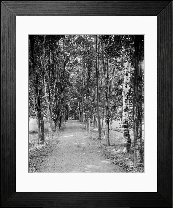 Framed Print : Shady path, Mount Holyoke College, South Hadley, Mass. c1908. Creator: William H. Jackson Framed Print : Shady path, Mount Holyoke College, South Hadley, Mass. c1908. Creator: William H. Jackson