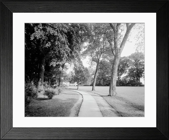 Framed Print : West approach, Mt. Vernon, Va. between 1900 and 1915. Creator: William H. Jackson Framed Print : West approach, Mt. Vernon, Va. between 1900 and 1915. Creator: William H. Jackson