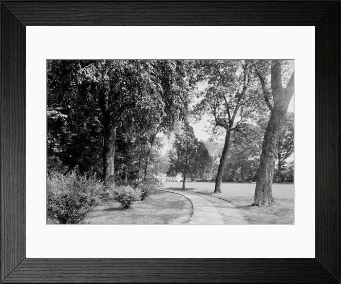 Framed Print : Bowling green & west approach, Mt. Vernon, Va. between 1900 and 1915. Creator: William H. Jackson. Bowling green & west approach, Mt. Vernon, Va. between 1900 and 1915. Creator: William H. Jackson Framed Print : Bowling green & west approach, Mt. Vernon, Va. between 1900 and 1915. Creator: William H. Jackson. Bowling green & west approach, Mt. Vernon, Va. between 1900 and 1915. Creator: William H. Jackson