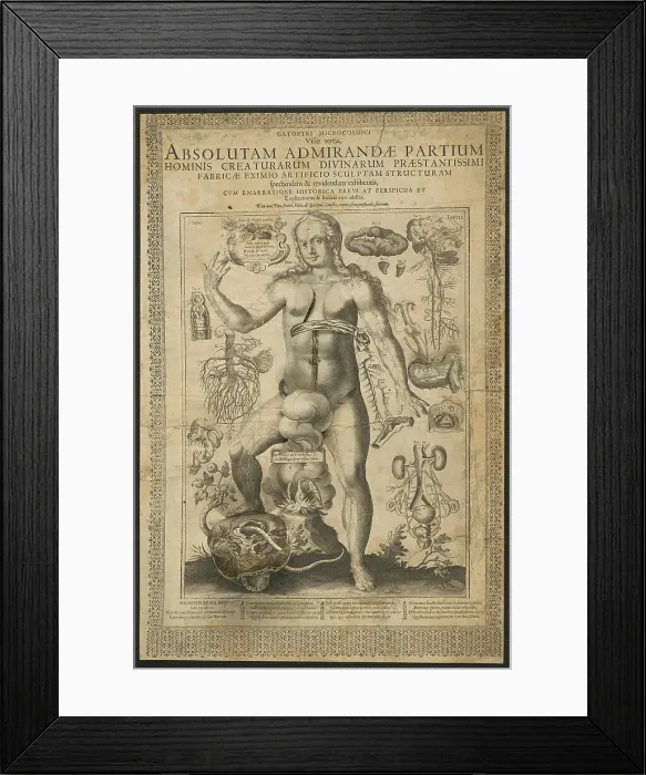 Framed Print : Third Vision, from Mirrors of the Microcosm, 1613. Creator: Lucas Kilian Framed Print : Third Vision, from Mirrors of the Microcosm, 1613. Creator: Lucas Kilian