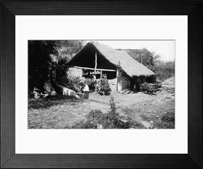 Framed Print : Groups about the sugar mill, Temasopa [sic], between 1880 and 1897. Creator: William H. Jackson