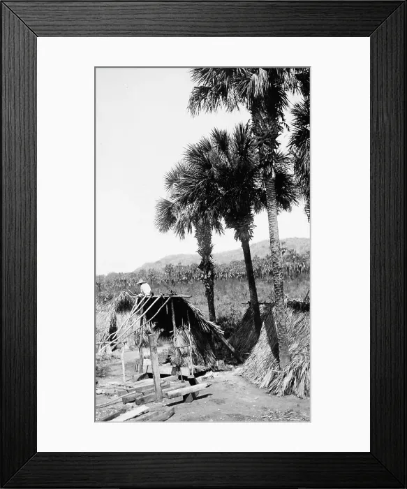 Framed Print : Palms and straw houses at Rascon, between 1880 and 1897. Creator: William H. Jackson Framed Print : Palms and straw houses at Rascon, between 1880 and 1897. Creator: William H. Jackson