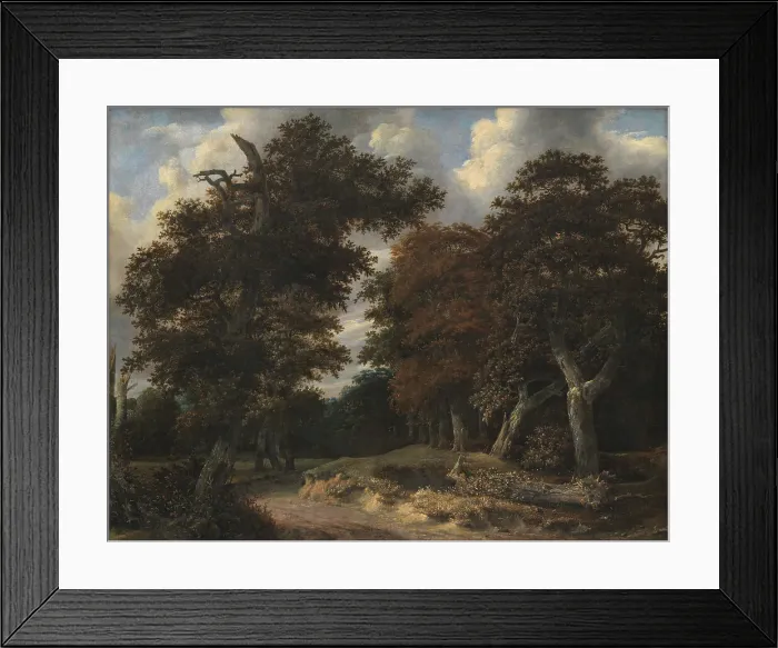 Framed Print : Road through an Oak Forest, 1646-1647. Creator: Jacob van Ruisdael Framed Print : Road through an Oak Forest, 1646-1647. Creator: Jacob van Ruisdael