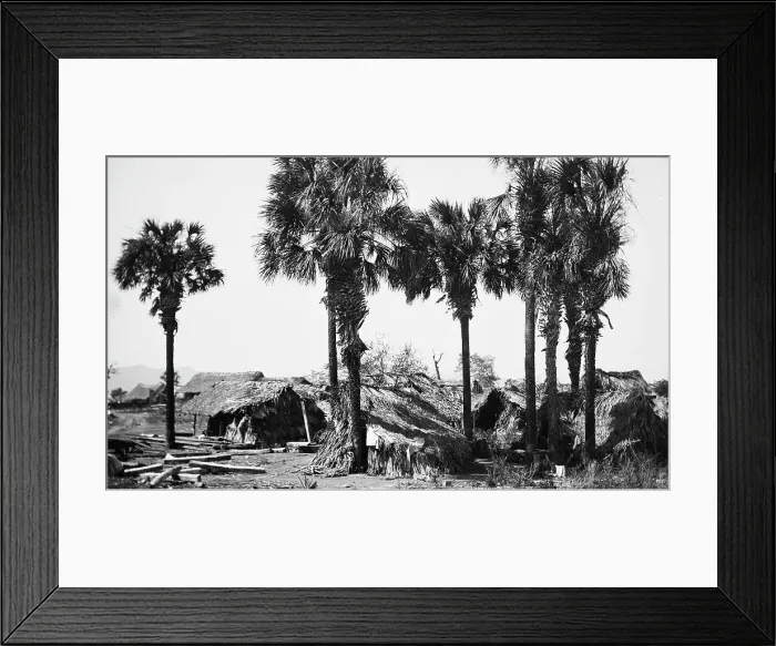 Framed Print : Palms and straw houses at Rascon, between 1880 and 1897. Creator: William H. Jackson Framed Print : Palms and straw houses at Rascon, between 1880 and 1897. Creator: William H. Jackson