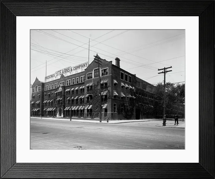 Framed Print : Frederick Stearns and Co. laboratory from southeast, Detroit, Mich. between 1910 and 1920. Creator: Unknown