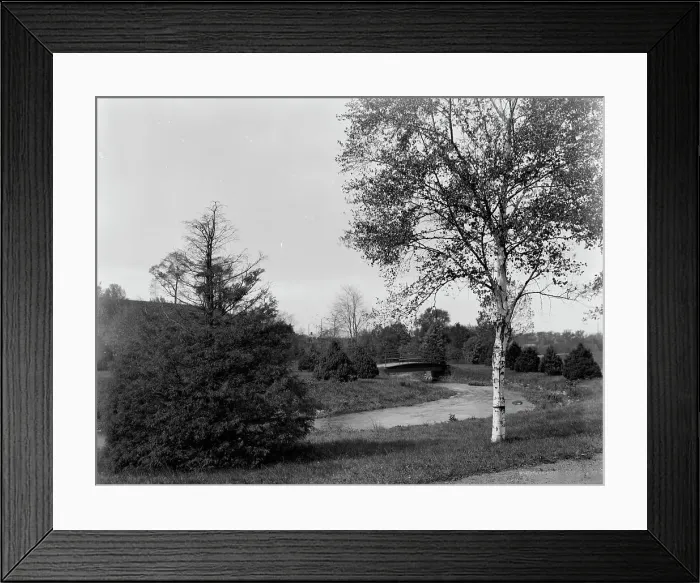 Framed Print : A Bit of Forest Park, Springfield, Mass. between 1910 and 1920. Creator: Unknown Framed Print : A Bit of Forest Park, Springfield, Mass. between 1910 and 1920. Creator: Unknown