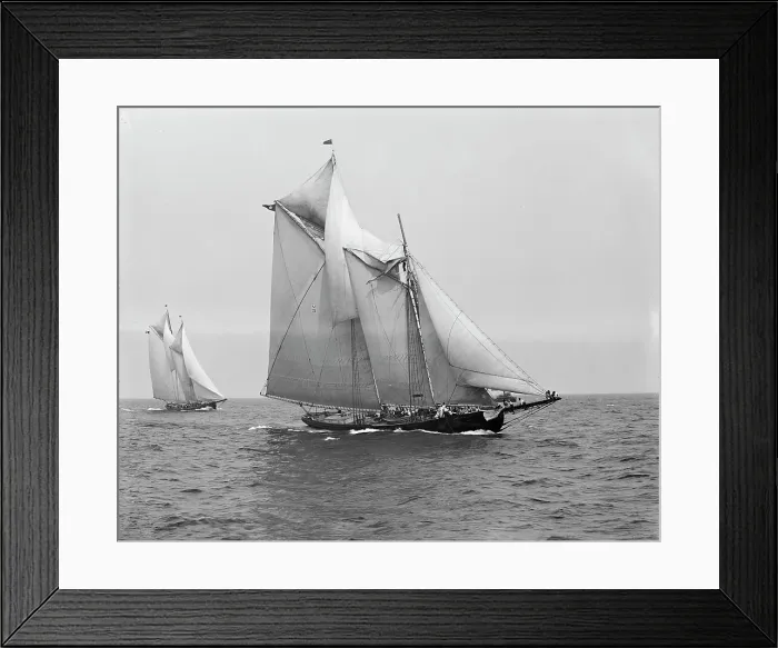 Framed Print : Rose Dorothea, with broken topmast in first Fishermen's Race for Lipton Cup, 1907. Creator: Unknown Framed Print : Rose Dorothea, with broken topmast in first Fishermen's Race for Lipton Cup, 1907. Creator: Unknown