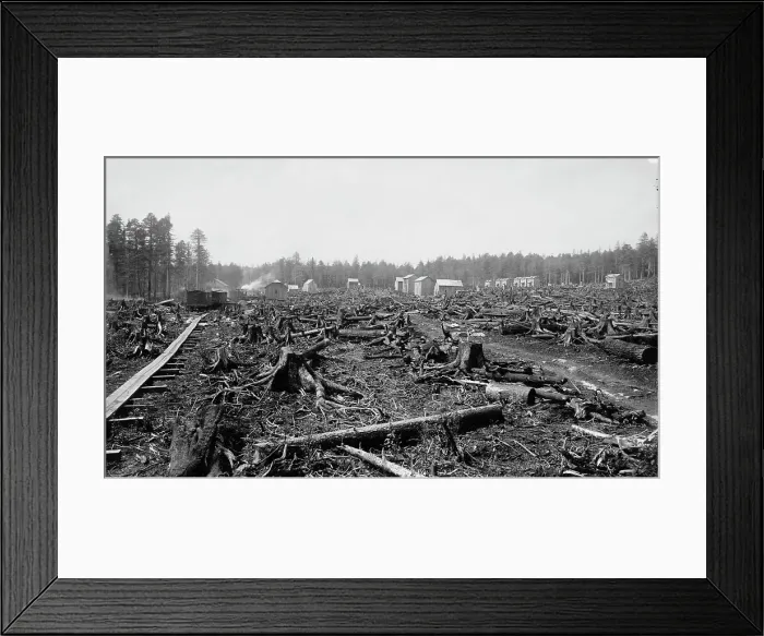 Framed Print : Birth of a city, Davis, W. Va. in 1885, c1885. Creator: William H. Jackson Framed Print : Birth of a city, Davis, W. Va. in 1885, c1885. Creator: William H. Jackson