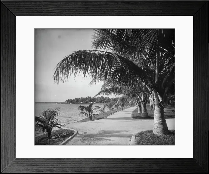 Framed Print : Palm Beach, c1894. Creator: William H. Jackson Framed Print : Palm Beach, c1894. Creator: William H. Jackson