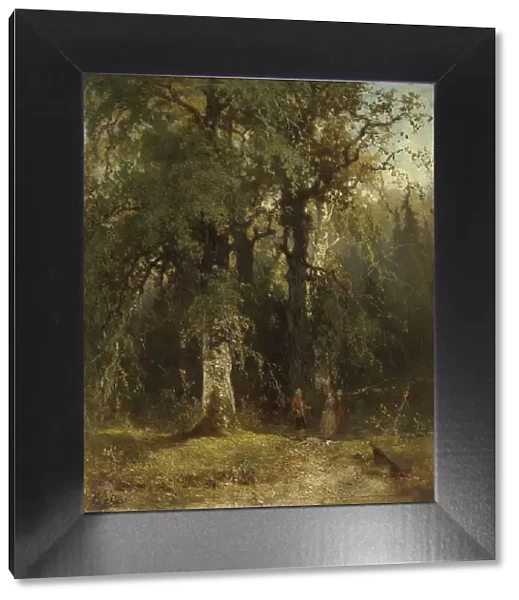 View in the Woods, c.1850-c.1890. Creator: Johannes Warnardus Bilders