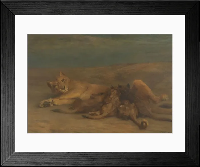 Framed Print : Mother's Love - lioness with four nursing cubs, 1870-1904. Creator: John MacAllan Swan Framed Print : Mother's Love - lioness with four nursing cubs, 1870-1904. Creator: John MacAllan Swan