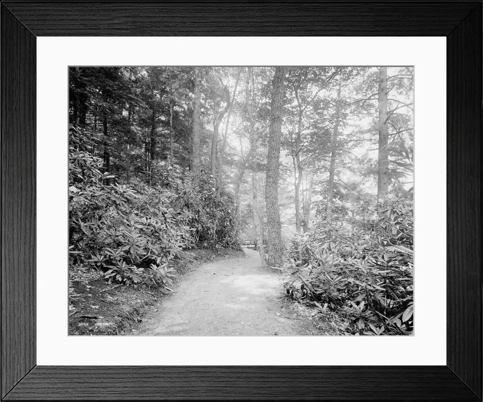 Framed Print : Laurel Lane, White Sulphur Springs, W. Va. c.between 1910 and 1920. Creator: Unknown Framed Print : Laurel Lane, White Sulphur Springs, W. Va. c.between 1910 and 1920. Creator: Unknown
