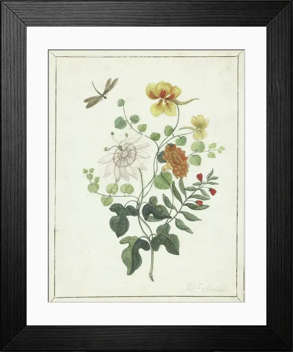 Framed Print : Still Life of Flowers, c.1600-c.1687. Creator: Machtelt Moninckx Framed Print : Still Life of Flowers, c.1600-c.1687. Creator: Machtelt Moninckx