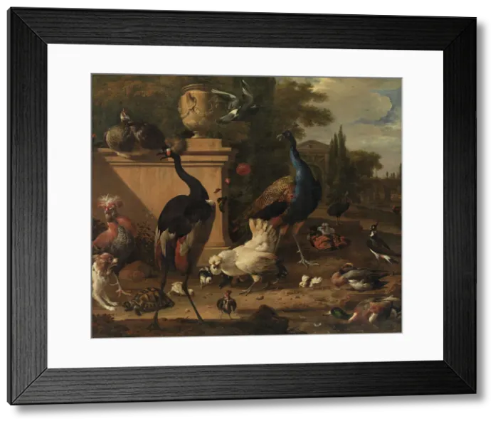 Framed Print : Hen Run at a Manor, 1651-1695. Creator: Melchior d'Hondecoeter Framed Print : Hen Run at a Manor, 1651-1695. Creator: Melchior d'Hondecoeter