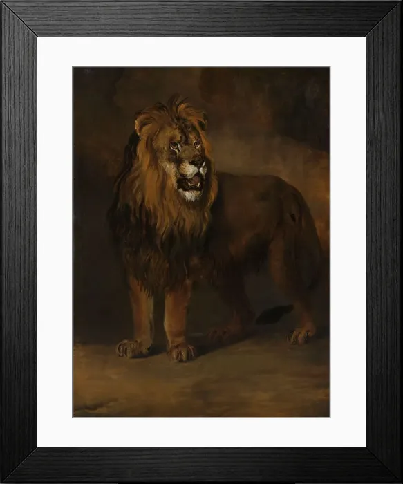Framed Print : A Lion from the Menagerie of King Louis Napoleon, 1808, 1808. Creator: Pieter Gerardus van Os Framed Print : A Lion from the Menagerie of King Louis Napoleon, 1808, 1808. Creator: Pieter Gerardus van Os