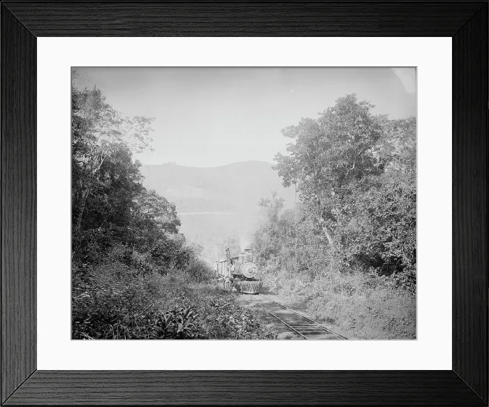 Framed Print : Train in Cafetal of Temasopa [sic], between 1880 and 1897. Creator: William H. Jackson