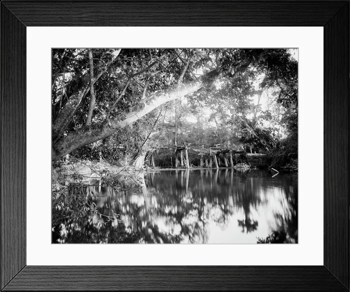 Framed Print : Puente Real near Rascon, between 1880 and 1897. Creator: William H. Jackson Framed Print : Puente Real near Rascon, between 1880 and 1897. Creator: William H. Jackson