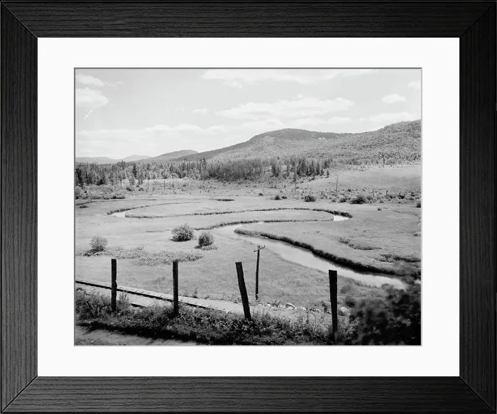 Framed Print : Letters at state hospital, Ray Brook, Adirondack Mts. N.Y. c1907. Creator: Unknown. Letters at state hospital, Ray Brook, Adirondack Mts. N.Y. c1907. Creator: Unknown Framed Print : Letters at state hospital, Ray Brook, Adirondack Mts. N.Y. c1907. Creator: Unknown. Letters at state hospital, Ray Brook, Adirondack Mts. N.Y. c1907. Creator: Unknown