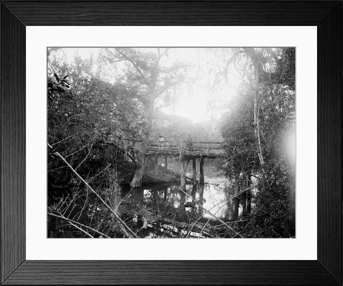 Framed Print : Bridge at Crucitas, between 1880 and 1897. Creator: William H. Jackson Framed Print : Bridge at Crucitas, between 1880 and 1897. Creator: William H. Jackson