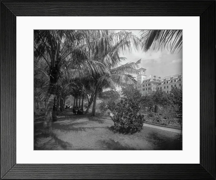 Framed Print : Hotel [Royal] Poinciana, Lake Worth, c1894. Creator: William H. Jackson