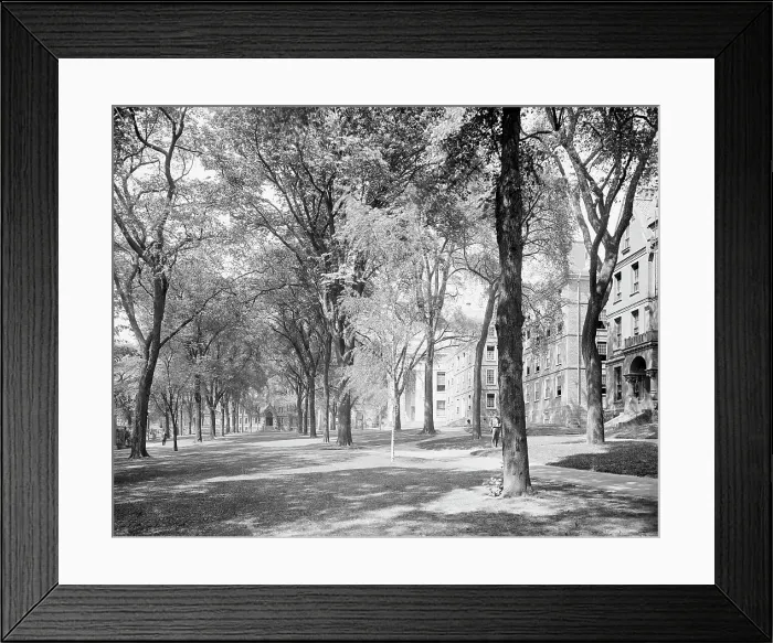 Framed Print : Front campus, Brown University, Providence, R.I. c1906. Creator: Unknown Framed Print : Front campus, Brown University, Providence, R.I. c1906. Creator: Unknown