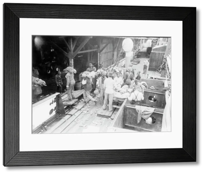 Framed Print : Unloading bananas, Mobile, Ala. c1906. Creator: Unknown Framed Print : Unloading bananas, Mobile, Ala. c1906. Creator: Unknown