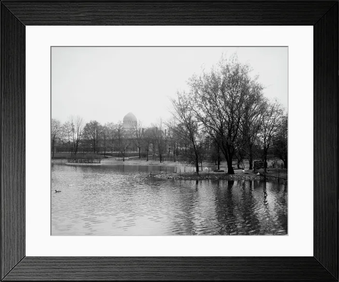 Framed Print : The Lake, zoo, Cincinnati, Ohio, between 1900 and 1910. Creator: Unknown Framed Print : The Lake, zoo, Cincinnati, Ohio, between 1900 and 1910. Creator: Unknown