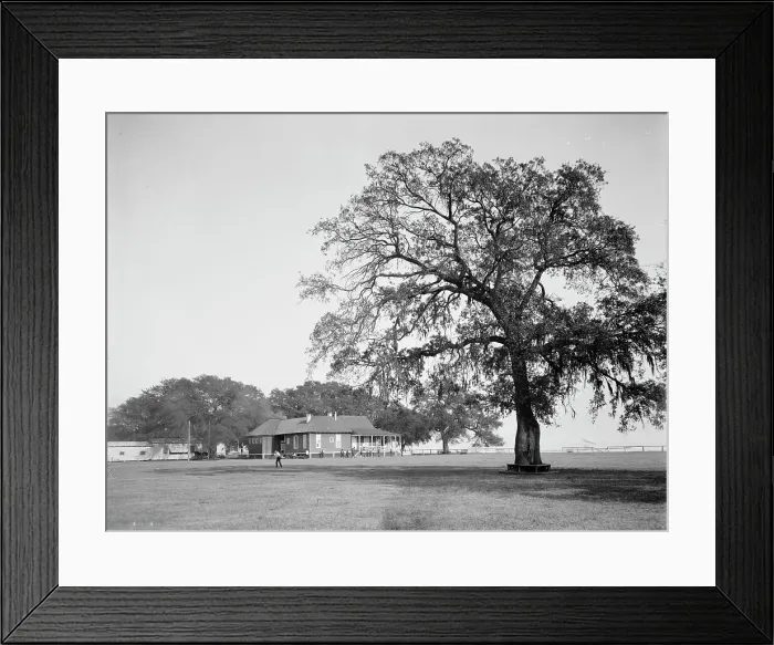 Framed Print : Mobile Country Club, Mobile, Ala. between 1900 and 1906. Creator: Unknown Framed Print : Mobile Country Club, Mobile, Ala. between 1900 and 1906. Creator: Unknown