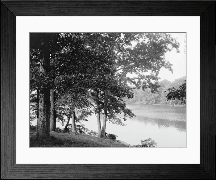 Framed Print : Along the Bronx River, Bronx Park, New York, c1906. Creator: Unknown Framed Print : Along the Bronx River, Bronx Park, New York, c1906. Creator: Unknown