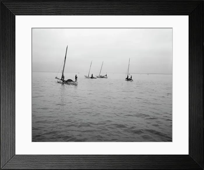 Framed Print : Oyster dredging, between 1900 and 1910. Creator: Unknown Framed Print : Oyster dredging, between 1900 and 1910. Creator: Unknown