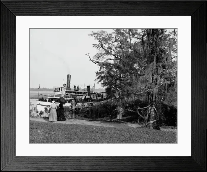 Framed Print : Steamer landing, Magnolia-on-the-Ashley, Charleston, S.C. between 1900 and 1910. Creator: Unknown Framed Print : Steamer landing, Magnolia-on-the-Ashley, Charleston, S.C. between 1900 and 1910. Creator: Unknown