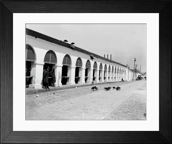 Framed Print : Central market & buzzards, Charleston, S.C. between 1900 and 1910. Creator: Unknown. Central market & buzzards, Charleston, S.C. between 1900 and 1910. Creator: Unknown Framed Print : Central market & buzzards, Charleston, S.C. between 1900 and 1910. Creator: Unknown. Central market & buzzards, Charleston, S.C. between 1900 and 1910. Creator: Unknown