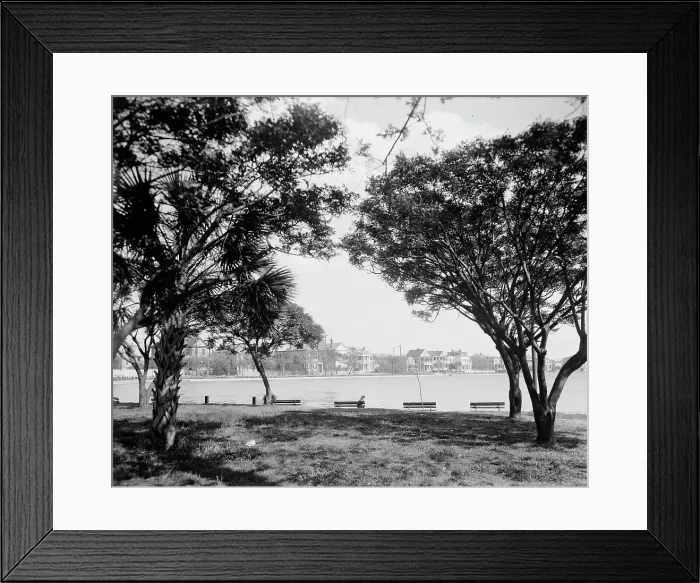 Framed Print : Colonial Lake, Charleston, S.C. between 1900 and 1910. Creator: Unknown Framed Print : Colonial Lake, Charleston, S.C. between 1900 and 1910. Creator: Unknown