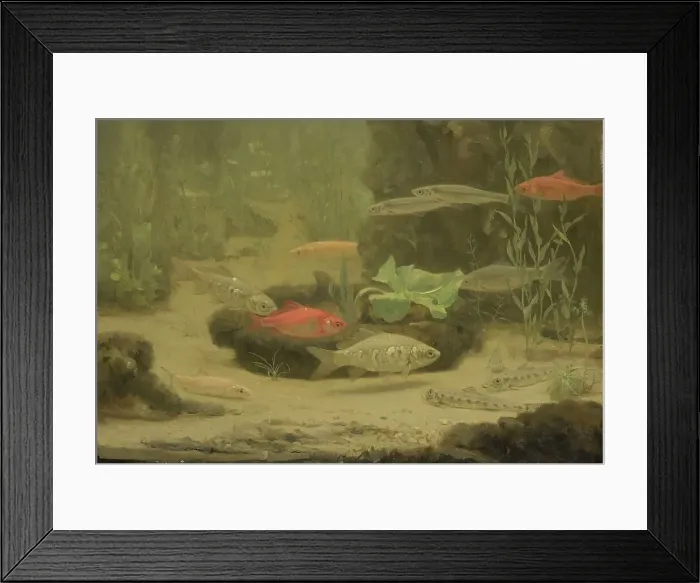 Framed Print : Gold- and Silverfish in an Aquarium, 1890-1922. Creator: Gerrit Willem Dijsselhof Framed Print : Gold- and Silverfish in an Aquarium, 1890-1922. Creator: Gerrit Willem Dijsselhof