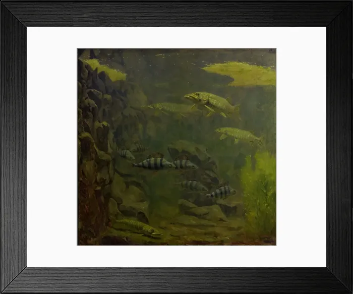 Framed Print : Pike and Perch in an Aquaruim, 1910-1920. Creator: Gerrit Willem Dijsselhof Framed Print : Pike and Perch in an Aquaruim, 1910-1920. Creator: Gerrit Willem Dijsselhof