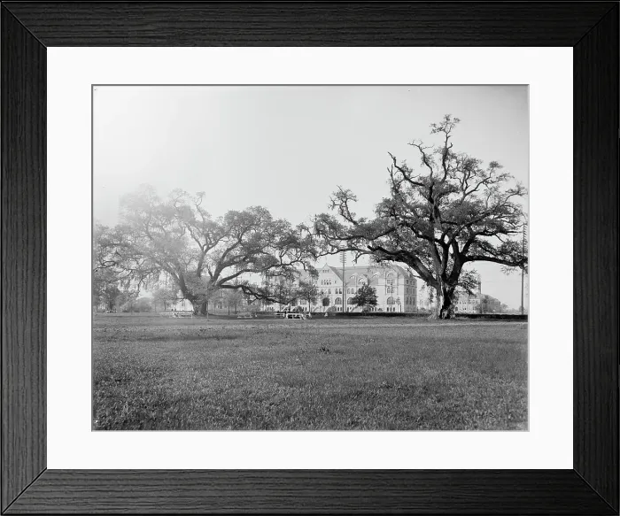Framed Print : Tulane University, New Orleans, Louisiana, between 1900 and 1910. Creator: Unknown Framed Print : Tulane University, New Orleans, Louisiana, between 1900 and 1910. Creator: Unknown