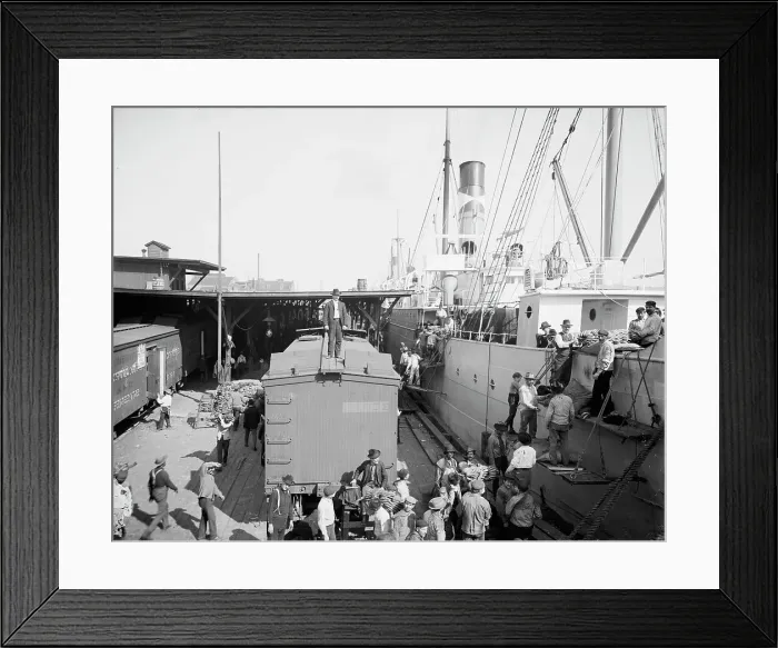 Framed Print : Unloading bananas, New Orleans, Louisiana, between 1900 and 1910. Creator: Unknown Framed Print : Unloading bananas, New Orleans, Louisiana, between 1900 and 1910. Creator: Unknown