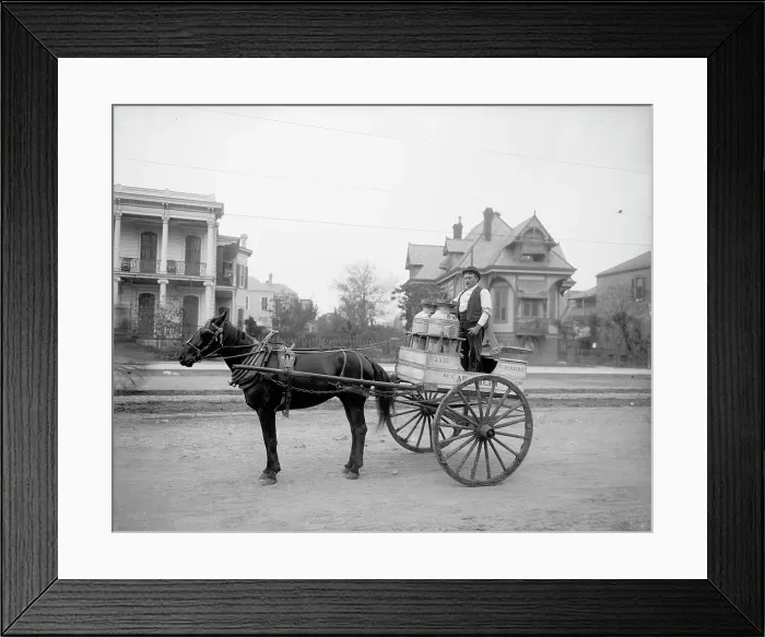 Framed Print : New Orleans milk cart, New Orleans, Louisiana, between 1900 and 1910. Creator: Unknown Framed Print : New Orleans milk cart, New Orleans, Louisiana, between 1900 and 1910. Creator: Unknown