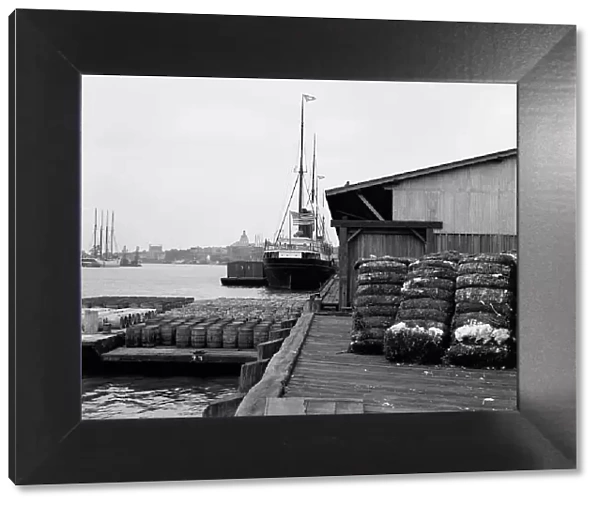 Cotton docks, Savannah, Ga. c1907. Creator: Unknown