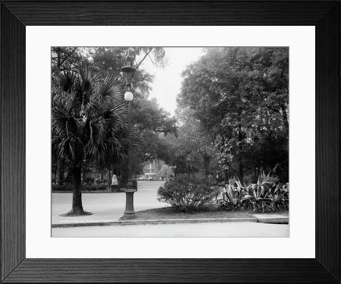 Framed Print : Forsyth Park, Savannah, Ga. between 1900 and 1910. Creator: Unknown Framed Print : Forsyth Park, Savannah, Ga. between 1900 and 1910. Creator: Unknown
