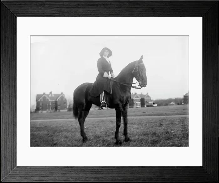 Framed Print : Woman Suffrage. Mrs. Burleson, Grand Marshall, 1913. Creator: Harris & Ewing. Woman Suffrage. Mrs. Burleson, Grand Marshall, 1913. Creator: Harris & Ewing Framed Print : Woman Suffrage. Mrs. Burleson, Grand Marshall, 1913. Creator: Harris & Ewing. Woman Suffrage. Mrs. Burleson, Grand Marshall, 1913. Creator: Harris & Ewing